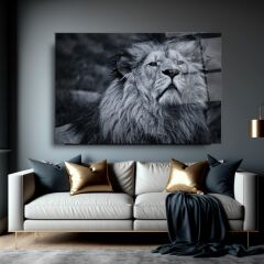 Aslan Cam Tablo Özel Tasarım Ofis, Mutfak Çocuk Odası, Salon Dekorasyon