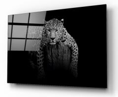 Leopar Cam Tablo Özel Tasarım Ofis, Mutfak Çocuk Odası, Salon Dekorasyon