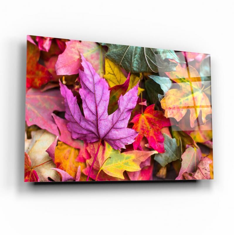 Renkli Cam Tablo Özel Tasarım Ofis, Mutfak Çocuk Odası, Salon Dekorasyon