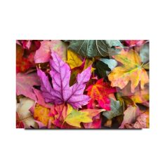 Renkli Cam Tablo Özel Tasarım Ofis, Mutfak Çocuk Odası, Salon Dekorasyon