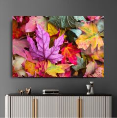 Renkli Cam Tablo Özel Tasarım Ofis, Mutfak Çocuk Odası, Salon Dekorasyon