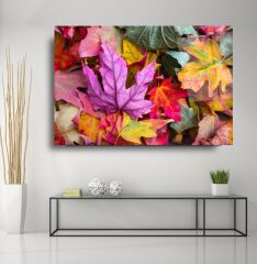 Renkli Cam Tablo Özel Tasarım Ofis, Mutfak Çocuk Odası, Salon Dekorasyon