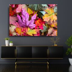 Renkli Cam Tablo Özel Tasarım Ofis, Mutfak Çocuk Odası, Salon Dekorasyon