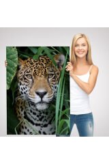Leopar Dekoratif Kanvas Tablo-5960