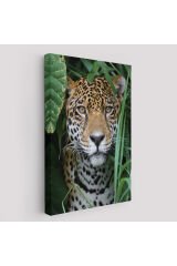 Leopar Dekoratif Kanvas Tablo-5960