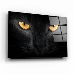 Kedi Cam Tablo Özel Tasarım Ofis, Mutfak Çocuk Odası, Salon Dekorasyon