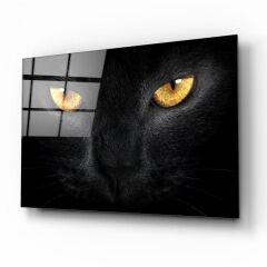Kedi Cam Tablo Özel Tasarım Ofis, Mutfak Çocuk Odası, Salon Dekorasyon