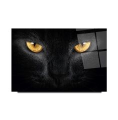 Kedi Cam Tablo Özel Tasarım Ofis, Mutfak Çocuk Odası, Salon Dekorasyon