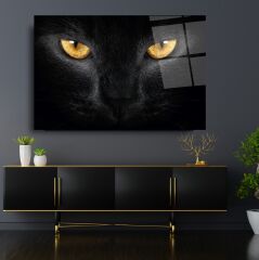 Kedi Cam Tablo Özel Tasarım Ofis, Mutfak Çocuk Odası, Salon Dekorasyon