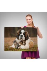 St. Bernard Köpek ve Yavru Kediler Dekoratif Kanvas Tablo 1124