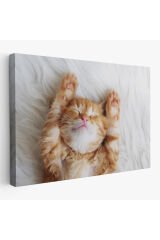 Yavru Kedi Dekoratif Kanvas Tablo 1125