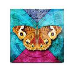 Kelebek Cam Tablo Özel Tasarım Ofis, Mutfak Çocuk Odası, Salon Dekorasyon