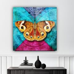 Kelebek Cam Tablo Özel Tasarım Ofis, Mutfak Çocuk Odası, Salon Dekorasyon