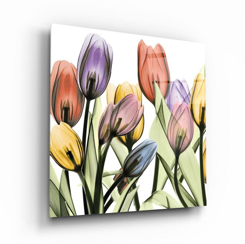 Lale Cam Tablo Özel Tasarım Ofis, Mutfak Çocuk Odası, Salon Dekorasyon