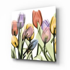 Lale Cam Tablo Özel Tasarım Ofis, Mutfak Çocuk Odası, Salon Dekorasyon