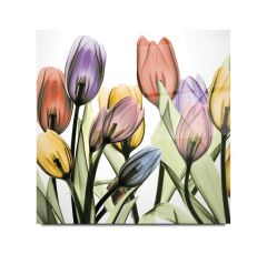 Lale Cam Tablo Özel Tasarım Ofis, Mutfak Çocuk Odası, Salon Dekorasyon