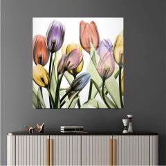 Lale Cam Tablo Özel Tasarım Ofis, Mutfak Çocuk Odası, Salon Dekorasyon