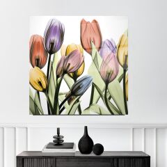 Lale Cam Tablo Özel Tasarım Ofis, Mutfak Çocuk Odası, Salon Dekorasyon