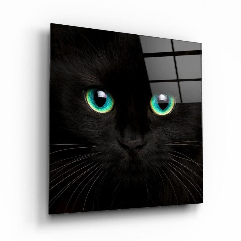 Kedi Cam Tablo Özel Tasarım Ofis, Mutfak Çocuk Odası, Salon Dekorasyon