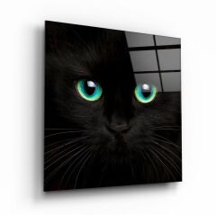 Kedi Cam Tablo Özel Tasarım Ofis, Mutfak Çocuk Odası, Salon Dekorasyon