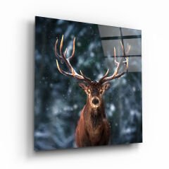 Geyik Cam Tablo Özel Tasarım Ofis, Mutfak Çocuk Odası, Salon Dekorasyon