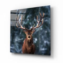 Geyik Cam Tablo Özel Tasarım Ofis, Mutfak Çocuk Odası, Salon Dekorasyon