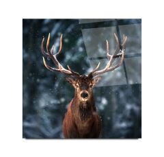 Geyik Cam Tablo Özel Tasarım Ofis, Mutfak Çocuk Odası, Salon Dekorasyon