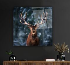 Geyik Cam Tablo Özel Tasarım Ofis, Mutfak Çocuk Odası, Salon Dekorasyon