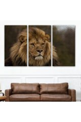 Aslan Dekoratif Kanvas Tablo 1159