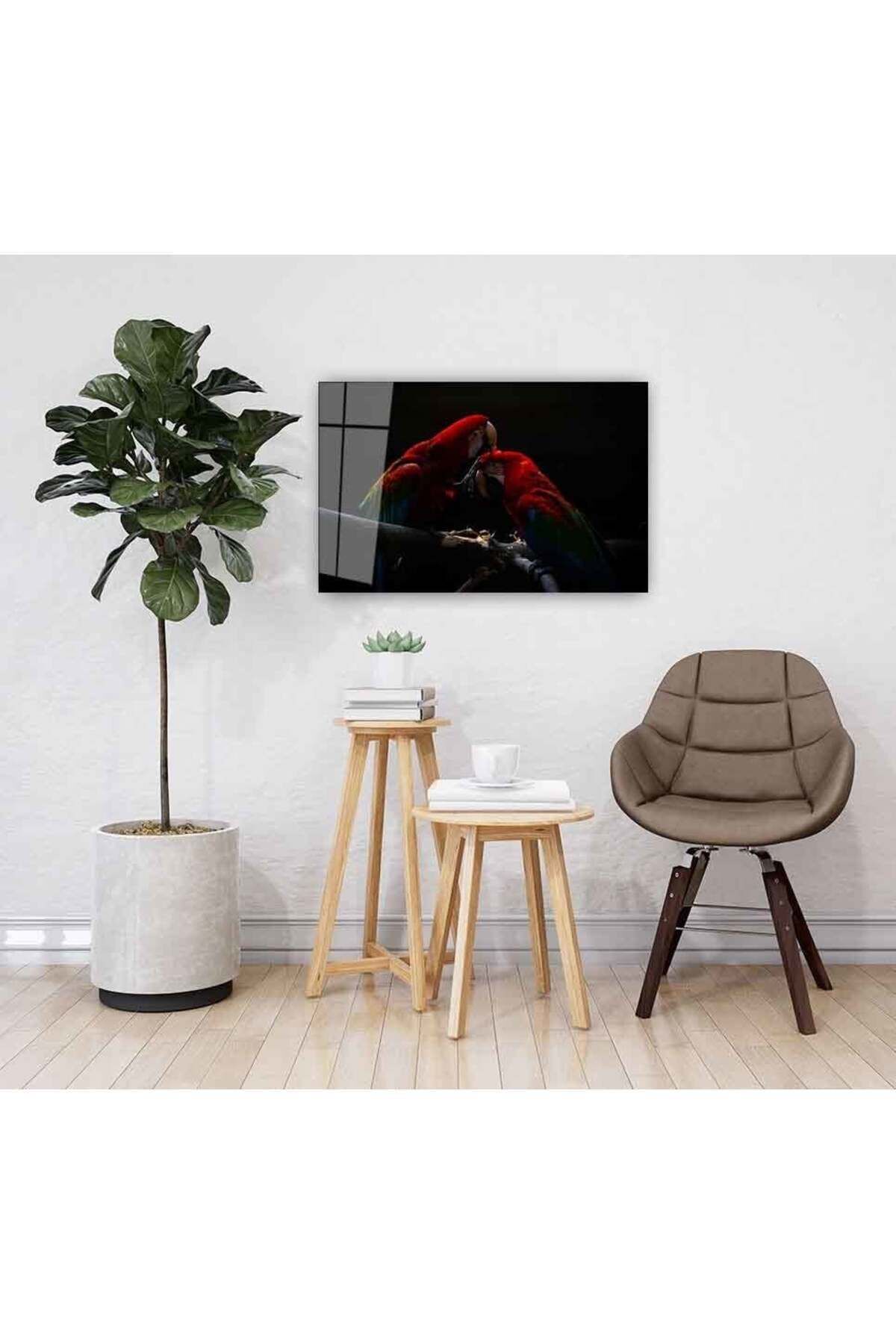 Papağan Cam Tablo 4mm Dayanıklı Temperli Cam