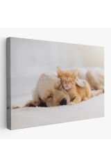 Golden Köpek İle Uyuyan Yavru Kedi Dekoratif Kanvas Tablo 1176