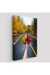 Sonbaharın Renkli Yaprakları ve Yol Manzarası Duvar Tablosu-6089