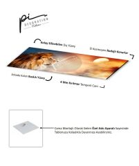 Aslan Panoramik Cam Tablo Özel Tasarım Ofis, Mutfak Çocuk Odası, Salon Dekorasyon