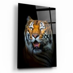 Kaplan Cam Tablo Özel Tasarım Ofis, Mutfak Çocuk Odası, Salon Dekorasyon