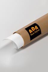 Kaktüsler Duvar Sticker