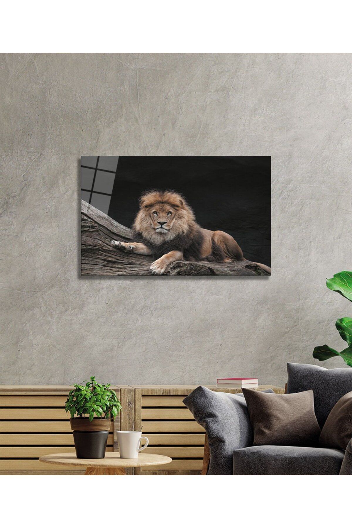 Aslan 12 Cam Tablo