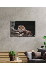 Aslan 12 Cam Tablo