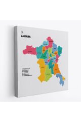 Ankara İli ve İlçeler Haritası Dekoratif Kanvas Tablo 1266