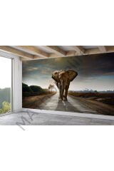 Yürüyen Fil Duvar Kağıdı - Posteri-3959