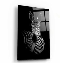 Zebra Cam Tablo Özel Tasarım Ofis, Mutfak Çocuk Odası, Salon Dekorasyon