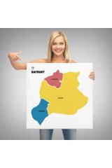 Bayburt İli ve İlçeler Haritası Dekoratif Kanvas Tablo 1289