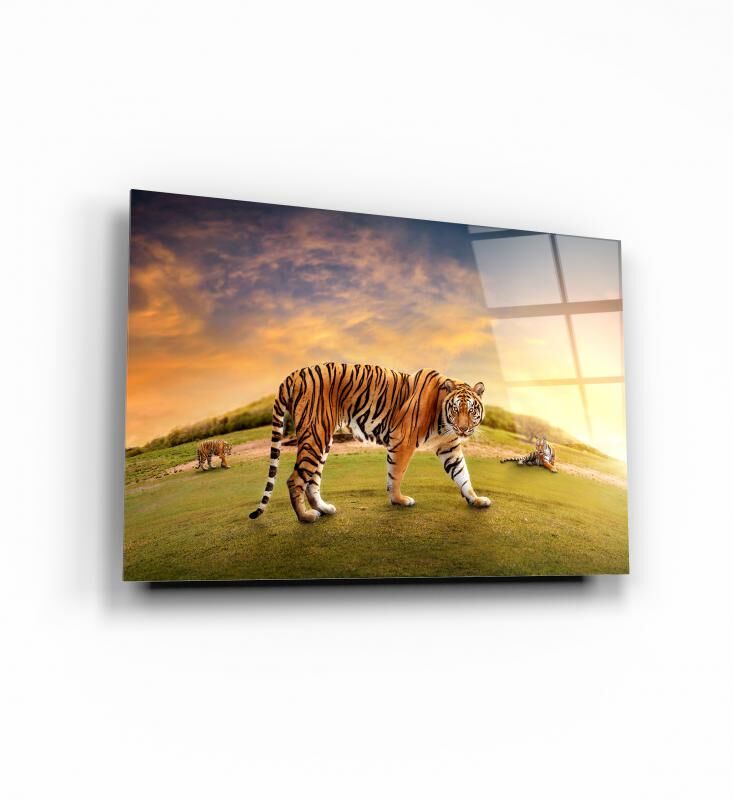 Kaplan Cam Tablo Özel Tasarım Ofis, Mutfak Çocuk Odası, Salon Dekorasyon