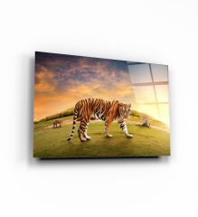 Kaplan Cam Tablo Özel Tasarım Ofis, Mutfak Çocuk Odası, Salon Dekorasyon