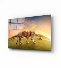 Kaplan Cam Tablo Özel Tasarım Ofis, Mutfak Çocuk Odası, Salon Dekorasyon