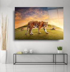 Kaplan Cam Tablo Özel Tasarım Ofis, Mutfak Çocuk Odası, Salon Dekorasyon