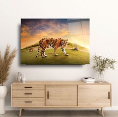 Kaplan Cam Tablo Özel Tasarım Ofis, Mutfak Çocuk Odası, Salon Dekorasyon