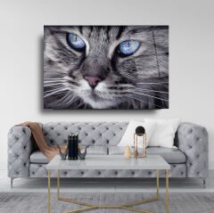 Kedi Cam Tablo Özel Tasarım Ofis, Mutfak Çocuk Odası, Salon Dekorasyon