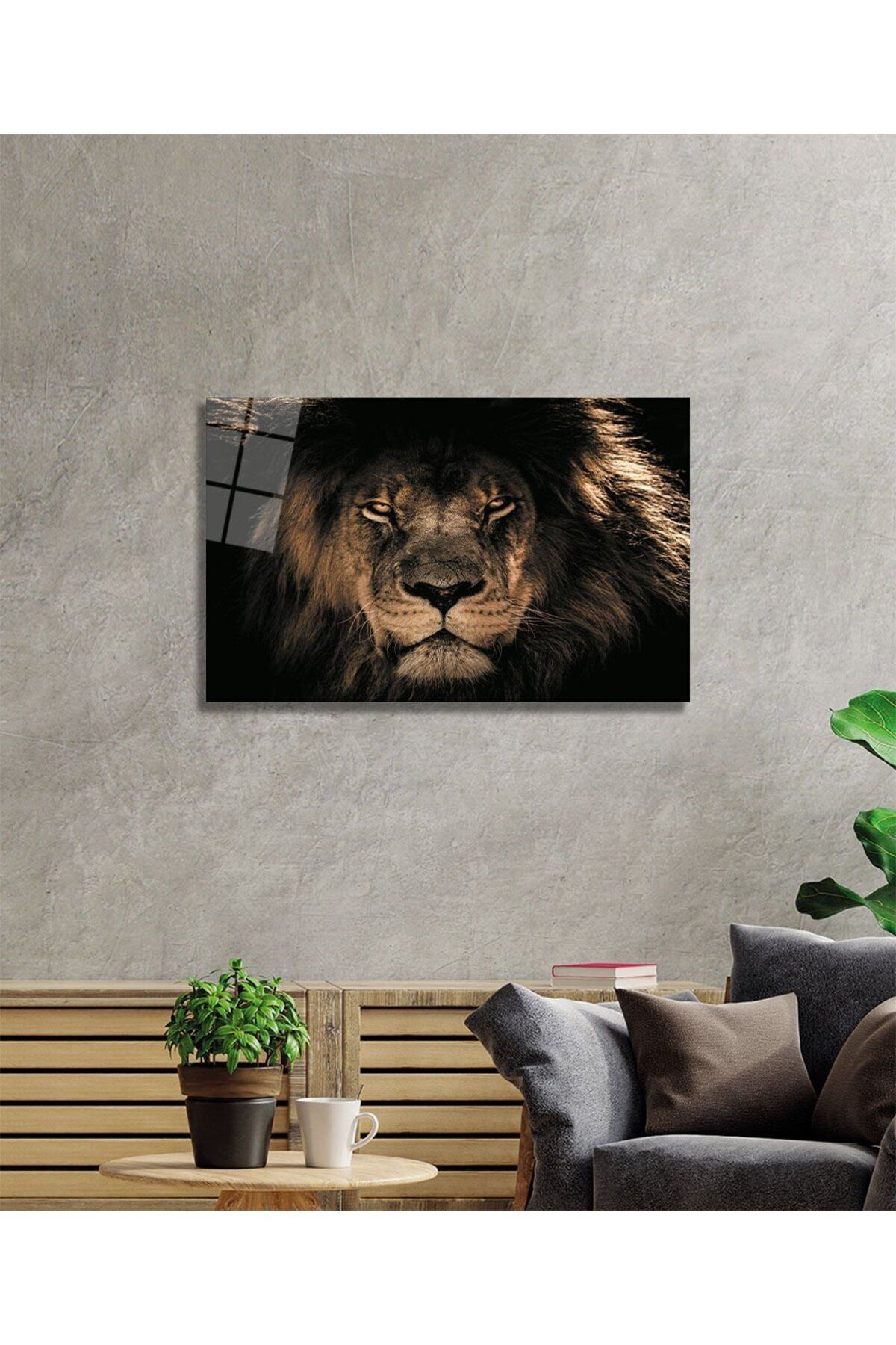 Aslan 14 Cam Tablo