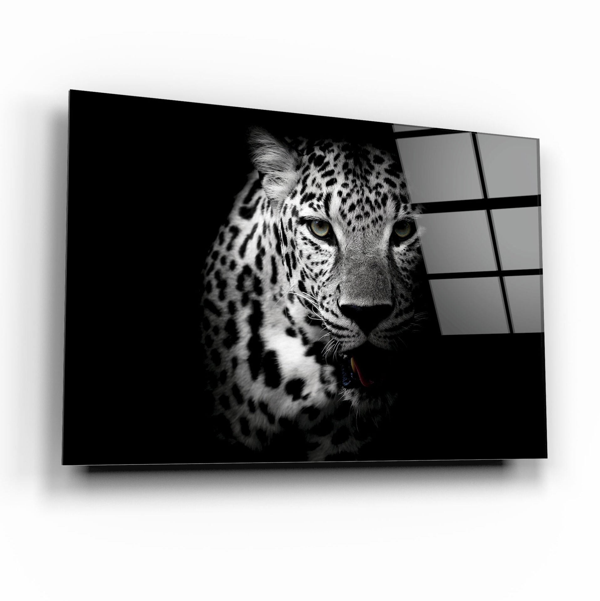 Kaplan Cam Tablo Özel Tasarım Ofis, Mutfak Çocuk Odası, Salon Dekorasyon