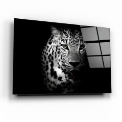 Kaplan Cam Tablo Özel Tasarım Ofis, Mutfak Çocuk Odası, Salon Dekorasyon